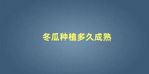 冬瓜种植多久成熟 种冬瓜的方法和步骤(冬瓜种植多久成熟 种冬瓜的方法和步骤)